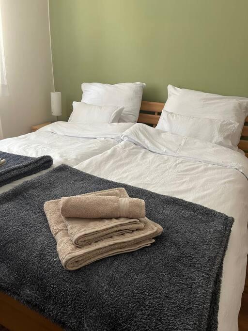 Priestranny 3 Izb. Apartman V Centre S Parkovanim. บันสกาบิสตรีตซา ภายนอก รูปภาพ