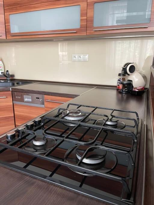 Priestranny 3 Izb. Apartman V Centre S Parkovanim. บันสกาบิสตรีตซา ภายนอก รูปภาพ